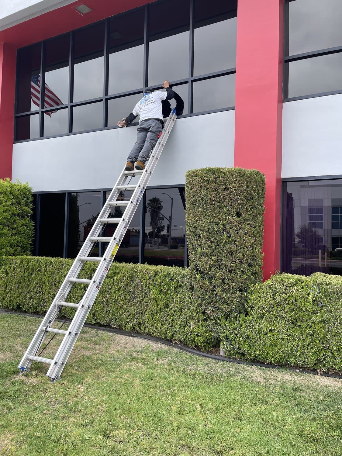 Squeegee Crew cleaning commercial storefront windows from a ladder in the 805