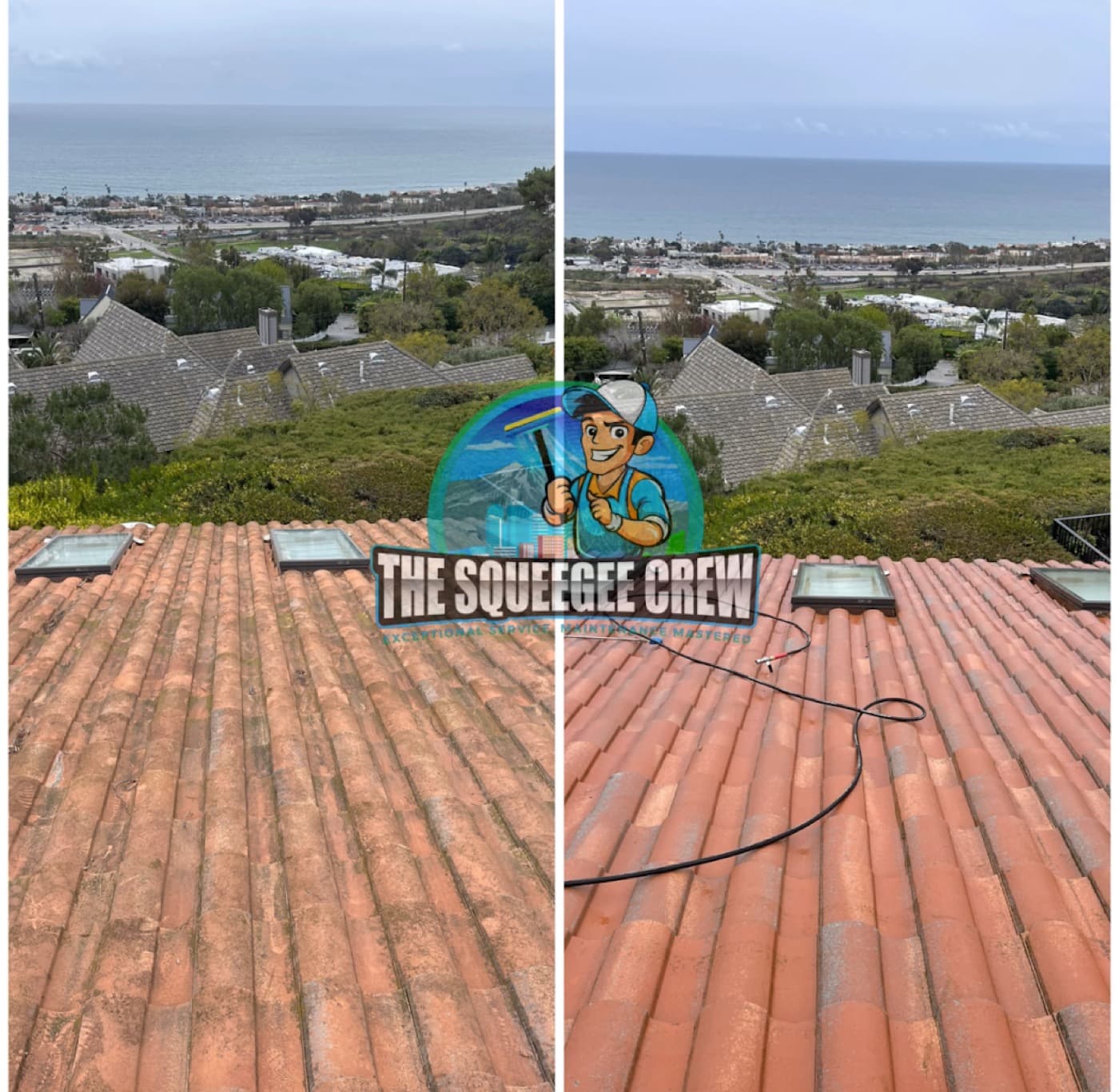 Roof Cleaning before and after by The Squeegee Crew
